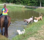 2008-9-7-savannah-is-in-heaven-she-with-her-dogs-and-her-horse