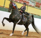 2009-savannah-on-blackie-in-raleigh-n-c