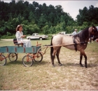 2011-6-holley-and-savannah-at-blowing-rock-6
