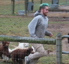 cody-doing-his-puppy-runs-for-the-day1