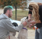 cody-helping-his-mom-do-our-weekly-ear-cleaning-on-all-our-spoos
