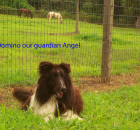 10-our-guardian-angel-july-2006-copy