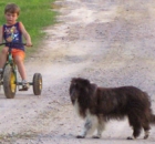 2006-7-domino-was-lukes-side-kick-from-the-time-luke-was-18-months-old-arrowhead-acres-farm