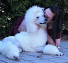 FALCOR-9