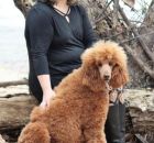 GINGER28