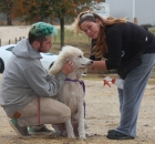 margaret-and-her-son-cody-doing-our-weekly-ear-cleaning-on-all-our-spoos