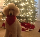 photo-2_2