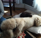 2013-1-tony-wagener-peaches-miss-maudie