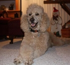 2013-1-tony-wagener-peaches