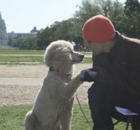 2013-1-tony-wagener-peaches1