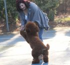 POISON12