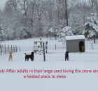 13-our-adults-enjoying-the-snow