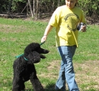 savannah11