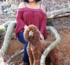 SCARLET40 (20)
