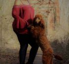 SCARLET40 (32)