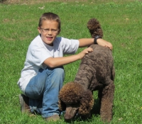 Child Sitting Outside With a Standard Poodle Puppy