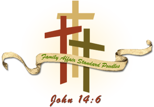 a family affair standard poodles